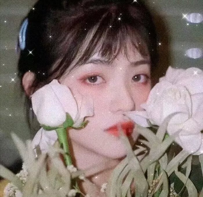 旋风骑士